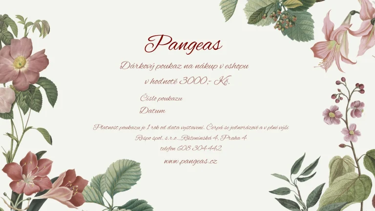 Pangeas dárkové poukazy